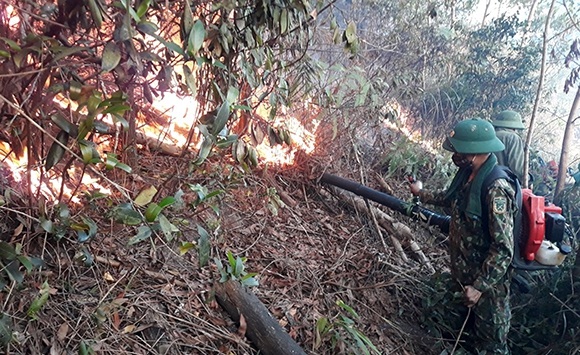 Cứu rừng từ mệnh lệnh trái tim

